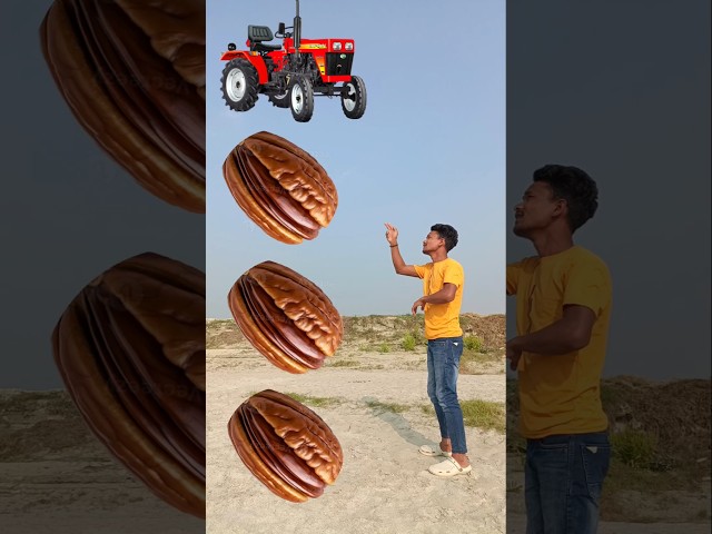 Rounding pecans to Alto, Rollar, Jcb & Tractor - Vehicles names magic video