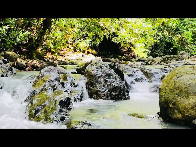 Relaxing River Sound In The Best Wild