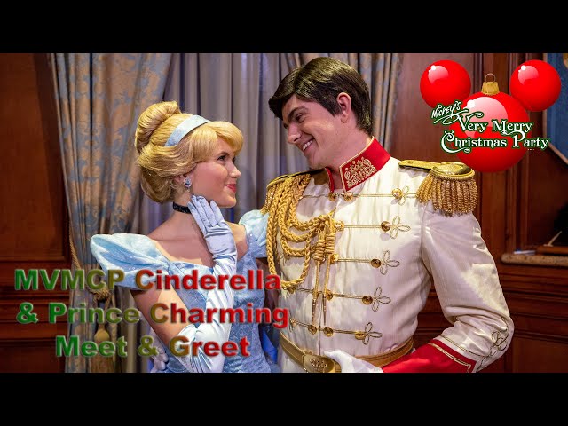 8K MVMCP Princess Cinderella & Prince Charming Meet & Greet in Magic Kingdom VR180 3D