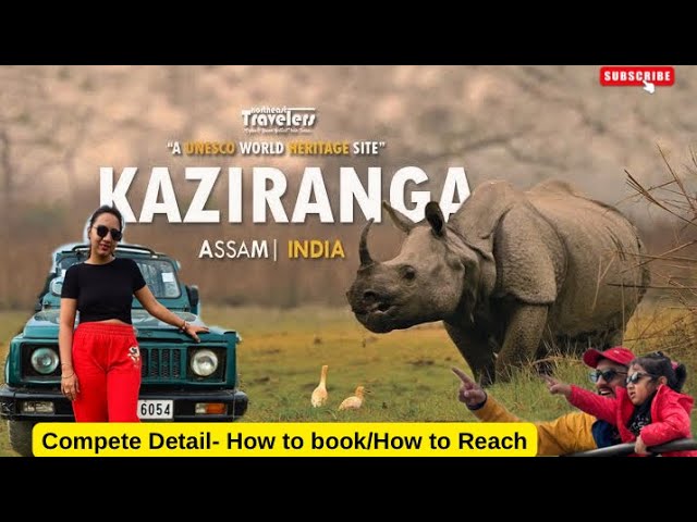 KAZIRANGA National Park Safari - ASSAM |Plan Your Family Trip with Complete Details- 4K Video हिन्दी