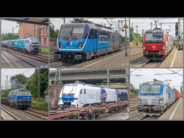 Zuge in Hamburg Harburg: Privatbahn Güterzuge und Personenzuge: August 2023