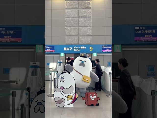 𝗢𝗭 𝗢𝗡𝗟𝗬🛫둥식이는 아사히카와에 가요