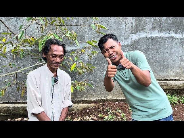 Tengok Tanaman Durian Haji Yana Mancak Kab Serang Banten,2 tahun sudah mulai berbuah