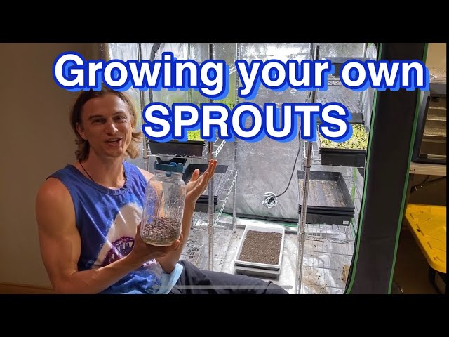 Grow Your Own Sprouts! Complete Guide to Starting your Own Sprout Garden