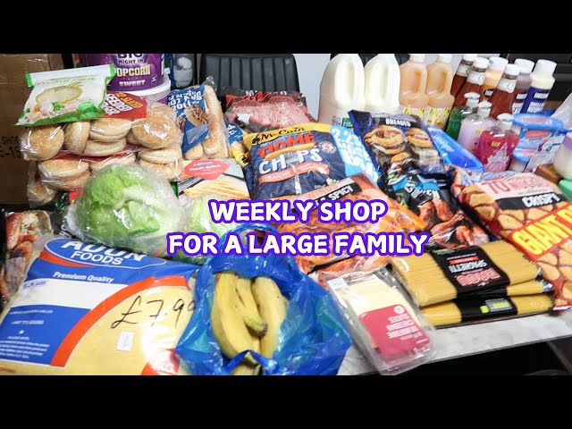 LARGE FAMILY GROCERY HAUL ON A BUGET