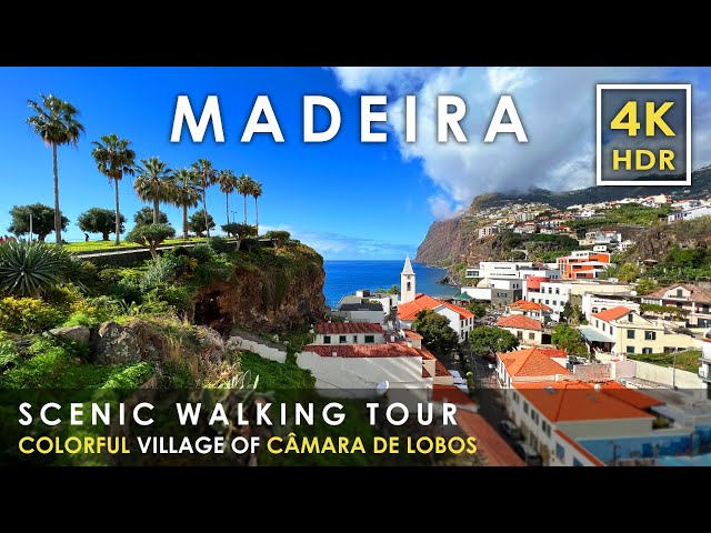 Madeira 4K Walking Tour in Portugal's Most Beautiful Village: Câmara de Lobos 🇵🇹 | City Walk 60fps