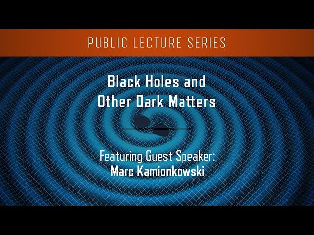 Black Holes and Other Dark Matters