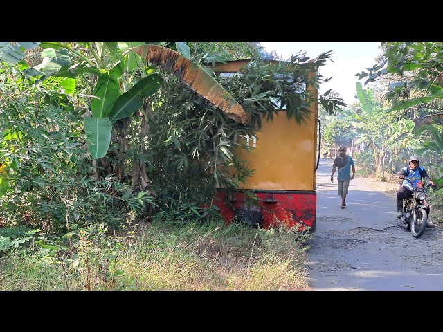 Buka Jalur Lori, Rel Nyaris Tak Terlihat❗️Tertutup Rimbunnya Semak‼️