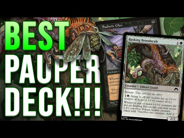 The BEST Pauper Deck! Golgari Basking Broodscale + Sadistic Glee Combo | Magic: The Gathering MTG