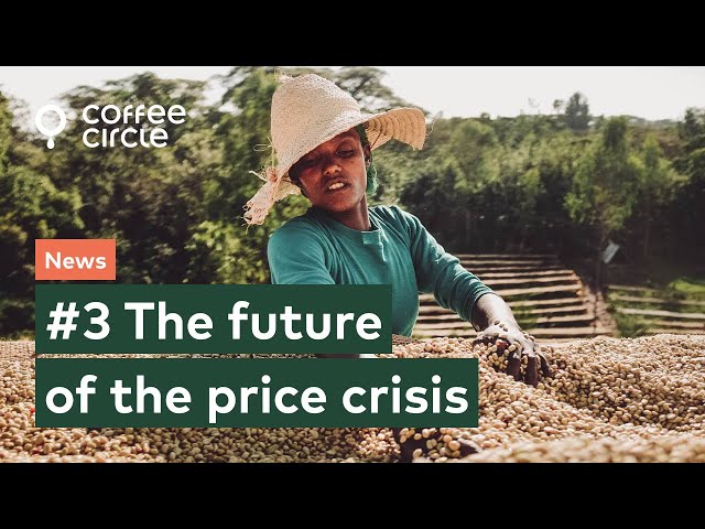 #3 The future of the price crisis