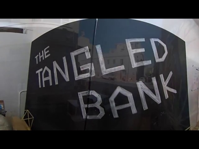 75 Harrington : The Tangled Bank