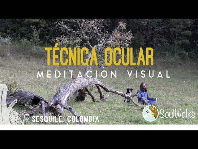 Meditación Visual Guiada En Paisajes | Misteriosa Immersión De Observación | Técnica Ocular