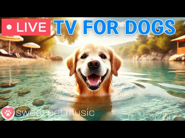 🔴 24 Hours of Dog TV🎵Calming Music for Dogs with Anxiety🐶🩷Dog Stress Relief & Deep Relaxation Sounds