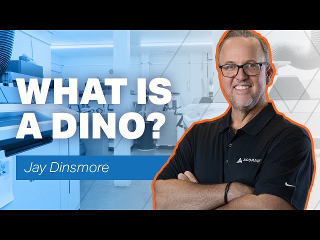 What is a DINO? Jay Explains