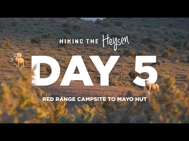 Heysen Trail | Day 05 | Red Range Campsite to Mayo Hut | Australian long-distance hiking