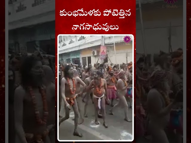 || KUMBHAMELA// కుంభమేళలో నాగసాధువులు E-Bhakthi