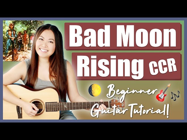 Bad Moon Rising CCR Beginner Guitar Lesson EASY Tutorial | Chords, Strumming & Play-Along Cover! 🎸