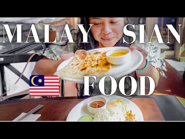 Eating MALAYSIAN Food in Istanbul, Turkey + FIRST IMPRESSIONS of ISTANBUL Turkey (Europe Side)