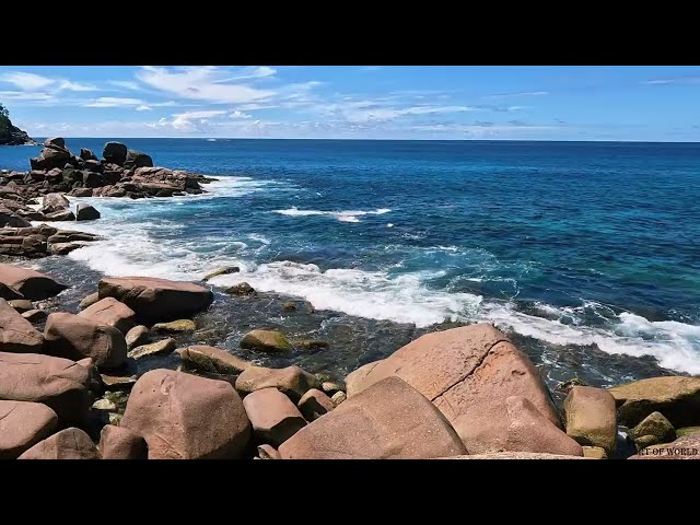 Relaxing Ocean Sounds Salty Water Crashing on the Rock Natural of Beauty