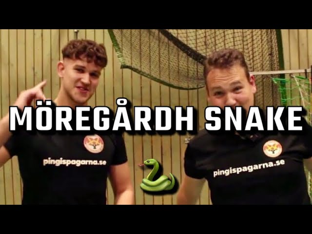 We React To THE MÖREGÅRDH SNAKE [advanced breakthrough] [olympics]