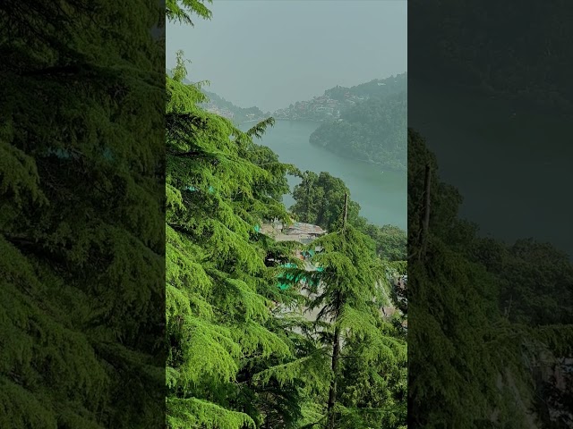 Nainital उत्तराखण्ड #song #hindisong #viral #ytshorts #explore #follow #trending #shorts #nainital