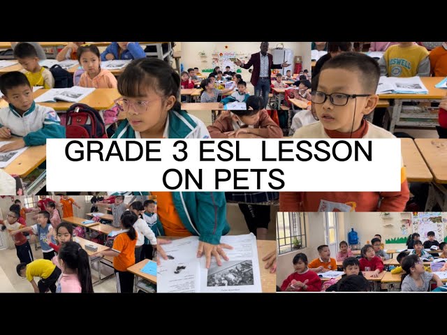 GRADE 3 ESL LESSON ON PETS || GRADE 3 DEMO LESSON ON PETS