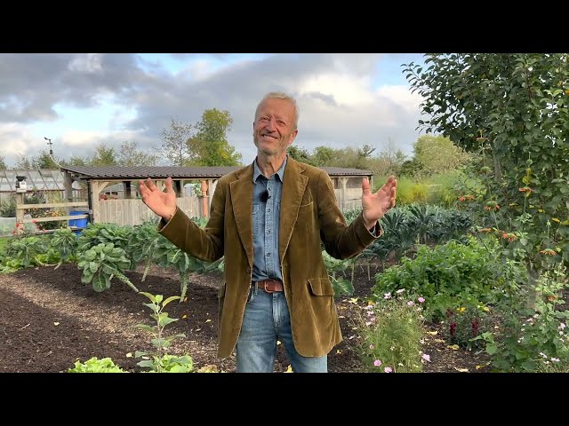 Tour of Vegetables and Composting in October - November for No Dig Day