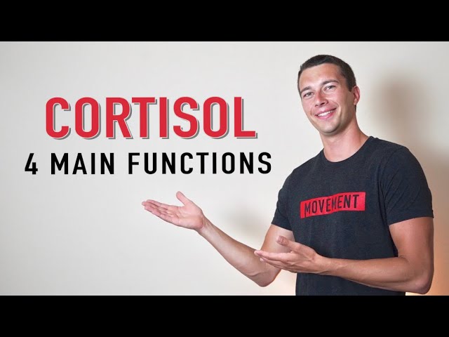 What does Cortisol Do? | 4 Functions of Cortisol Hormone