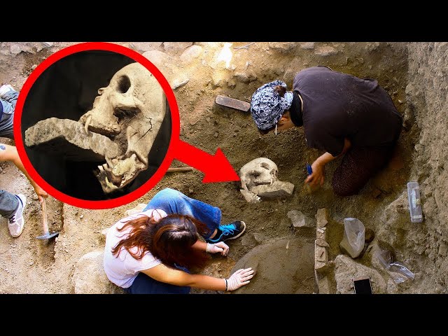 Strangest Recent Archaeological Discoveries