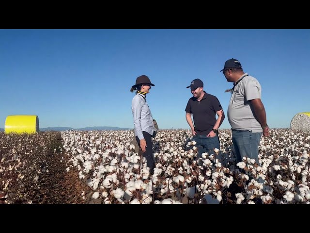 Australian Cotton Farm Tour 2023