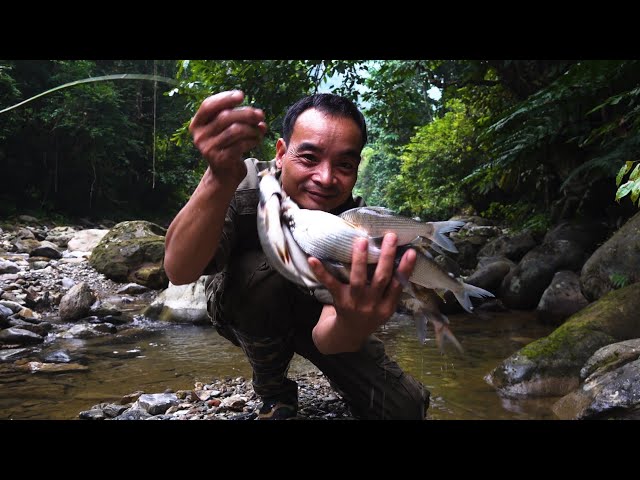 How to use plant poison to catch fish by hand | LIVING OFF THE GRID | Episode 7