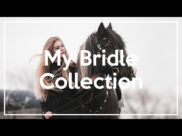 MY BRIDLE COLLECTION ✨