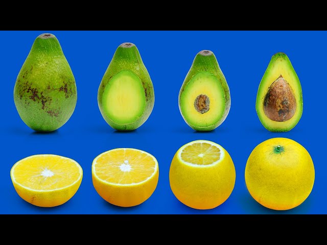 Full Hidden Patterns Inside Fruits and Vegetables SATISFYING Stop-Motion Animation