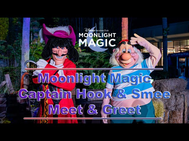 8K DVC Moonlight Magic Hook & Smee Meet and Greet VR180 3D