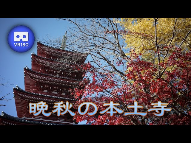 [3D VR180] 晩秋の本土寺