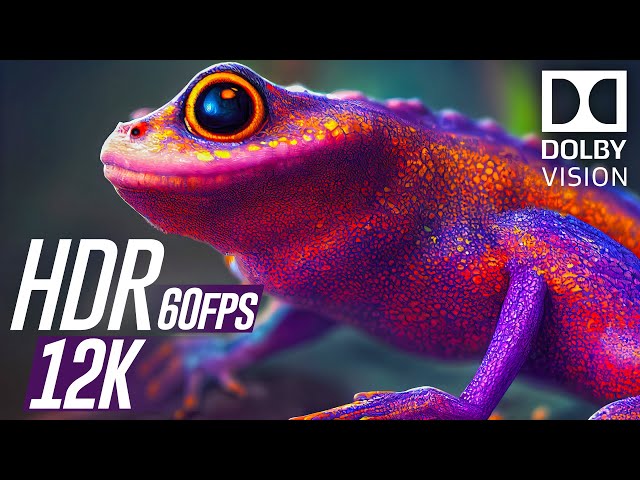 12K HDR 60fps Dolby Vision | Vivid Colors