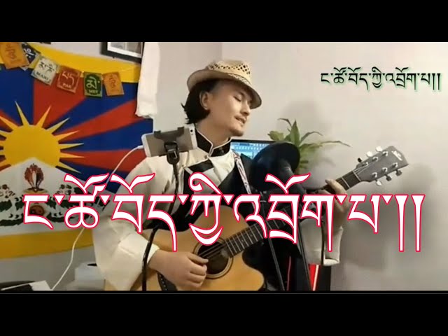 #Tibetan song #WeTibetanNomads #RangzenShonu #YakzStudio  #ང་ཚོ་བོད་ཀྱི་འབྲོག་པ། #CoverSongNamgyal