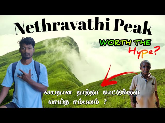 Nethravathi Peak Trek😱Is it Really Worth The Hype? Complete Guide 🙏 Travel Vijay ⛰️ Trekking