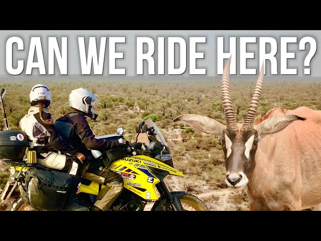 Taking Our Motorcycle on a SAFARI in Senegal! 🇸🇳 [S2 - E27]