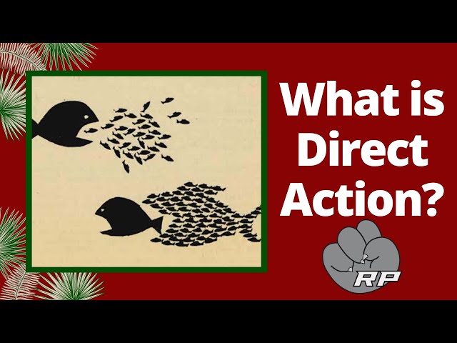 What is DIRECT ACTION? | Red Plateaus