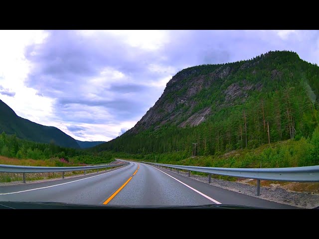 Driving | Rysstad - Byglandsfjord | Road Trip Norway