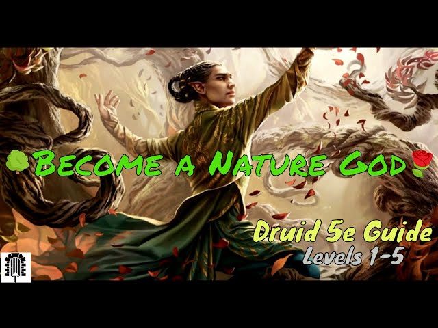 Druids Are AMAZING: A 5e D&D Druid Guide - Levels 1-5