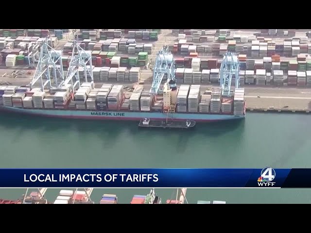 Expert: tariffs could impact South Carolina's billion dollar industries