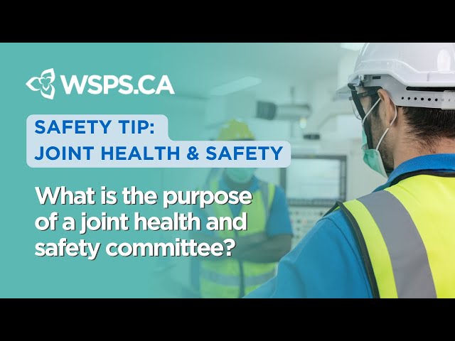 What is the purpose of a joint health and safety committee?