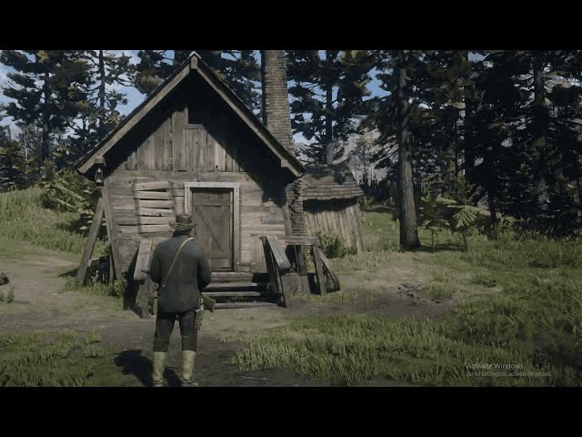 Watsons Cabin RDR 2