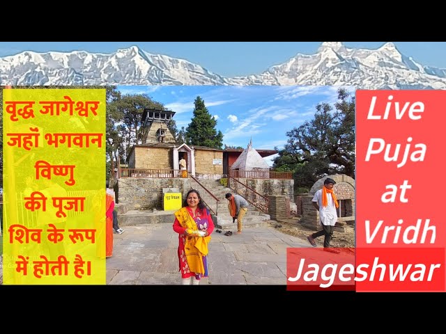 history and secret of Vridh Jageshwar Mandir with Live Puja |vridh jageshwar |