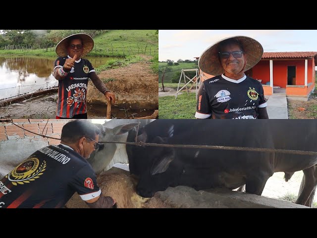 BUILDING THE BASE OF THE HOUSE'S ENTRANCE GATE + FEEDING THE CATTLE + PLANTING ON THE RESERVOIR WALL