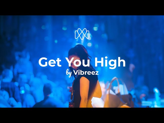 Vibreez - Get You High