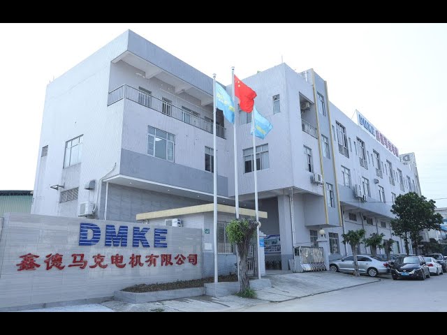 Introduction for DMKE motor