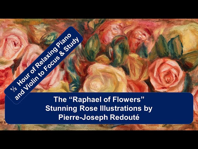 The Raphael of Flowers: Rose Illustrations by Pierre-Joseph Redouté Set to Soothing Piano &  Violin